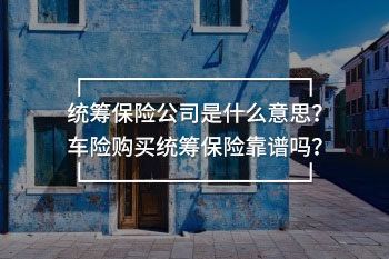 統(tǒng)籌保險公司