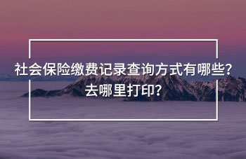 社會保險繳費(fèi)記錄查詢