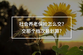 社會(huì)養(yǎng)老保險(xiǎn)