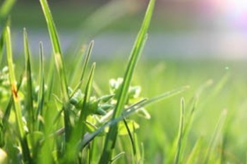 網(wǎng)上如何辦理退保？能退多少錢？