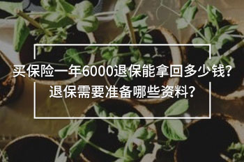 買保險一年6000退保能拿回多少錢？退保需要準(zhǔn)備哪些資料？