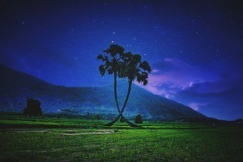 我想給自己買個保險怎么買？有什么投保注意事項？