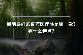 目前最好的百萬(wàn)醫(yī)療險(xiǎn)