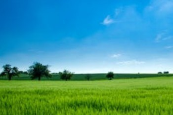 大家久安21終身壽險(xiǎn)怎么退保？能退多少錢？