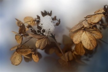 泰康萬能險退保能退多少錢？怎么退？