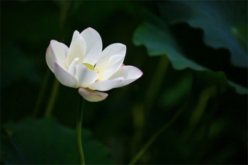 個人應該買什么保險好？怎么買？