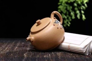 金瑞人生可以退保嗎？金瑞人生怎么退保劃算？