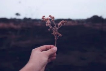 平安智能星保險(xiǎn)怎么退？能退多少錢？