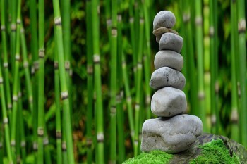 新華重疾險(xiǎn)退保損失大嗎？流程是什么？
