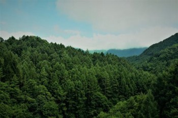 人保退保多久能到賬