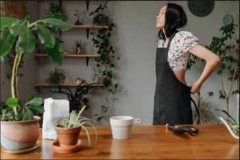 人壽保險(xiǎn)退保在哪里辦理？退保能退百分之多少？