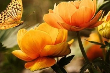 交20年的分紅險多久可以退保？退保有什么損失？