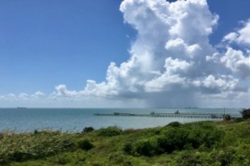 退保險怎樣才能退得更多