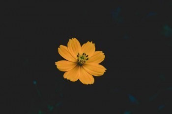 保險等待期是什么意思