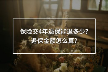 保險交4年退保能退多少