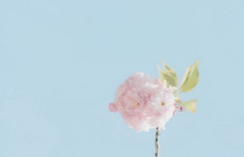 友邦保險(xiǎn)退保要多久