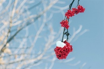 康寧終身保險(xiǎn)交滿20年后可以退保嗎