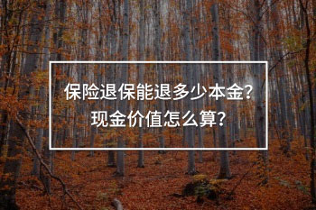 保險(xiǎn)退保能退多少本金 現(xiàn)金價(jià)值怎么算