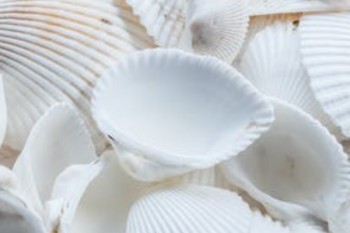 人壽保險可以退款嗎可以退保嗎