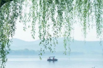 中國人壽康寧終身保險退保怎么計算