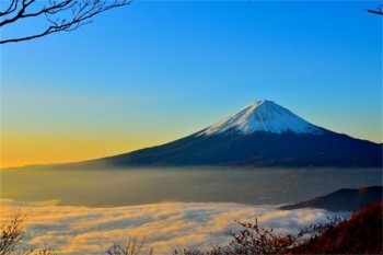 平安福四年退保能退多少錢(qián)