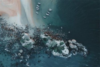 買(mǎi)保險(xiǎn)沒(méi)到期提前退保怎么辦