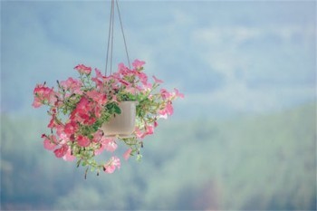 新華保險(xiǎn)到期退保能退多少錢