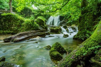 多次退保險(xiǎn)有什么影響