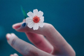 保險(xiǎn)過(guò)期沒(méi)交費(fèi)可以申請(qǐng)退保不