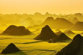 商業(yè)保險(xiǎn)不交了可以退錢嗎