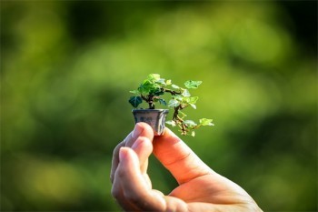 新生兒醫(yī)療保險如何辦理？在什么時間辦理？
