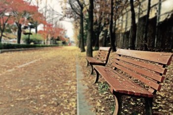 中國人壽康寧終身保險20年后給退款嗎