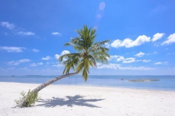 360保險600萬醫(yī)療險一年交多少錢