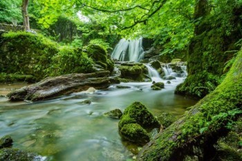 剛買(mǎi)的保險(xiǎn)后悔了可以退嗎