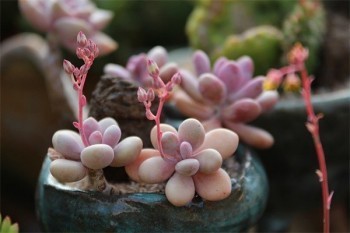 平安保險(xiǎn)周末可以退保嗎