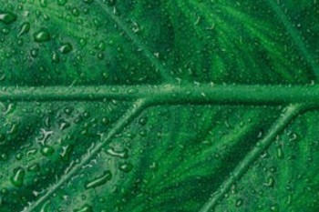 星火保百萬醫(yī)療險