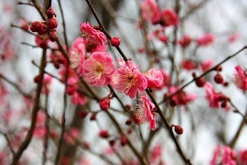 醫(yī)療保險最低要交多少年