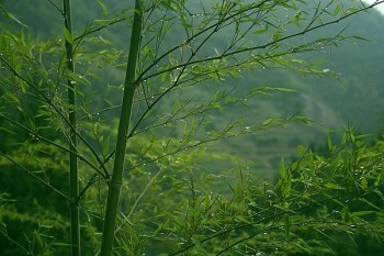 泰康的百萬醫(yī)療險怎么樣？跟同類產(chǎn)品對比如何？?