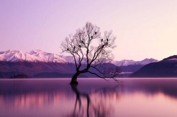 國壽如e康悅百萬醫(yī)療保險A款怎么樣？在哪里可以買？
