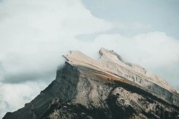 醫(yī)療保險一共要交多少年