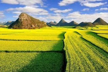 猶豫期內(nèi)退保險(xiǎn)錢(qián)多久可以到賬？可以全額退保嗎？