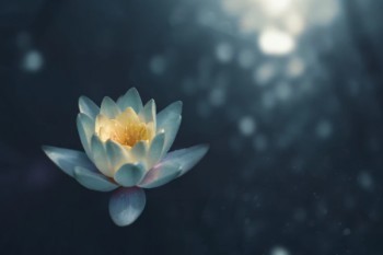 人壽買了三年能退多少？可以退嗎？