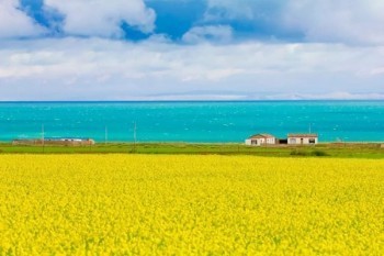 理財險可以退嗎？怎樣損失最?。?/>
                                            </div>
                                        </a>
                                        <div   id=