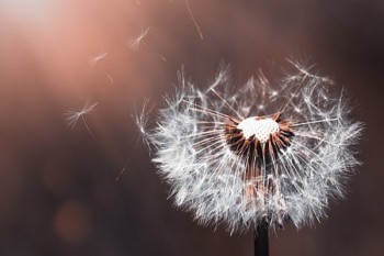 保險(xiǎn)未交滿了可以退保嗎？能退多少？