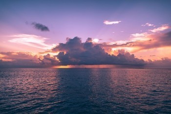 未生效的保單可以退嗎？可以全額退嗎？