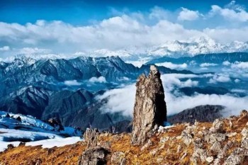 保險(xiǎn)15天內(nèi)退保是全退嗎
