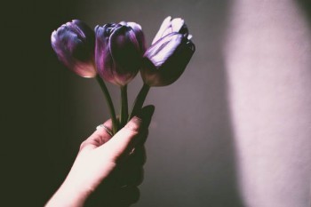 百萬醫(yī)療保險在哪里投保的