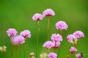 華貴愛終身壽險存三年退保