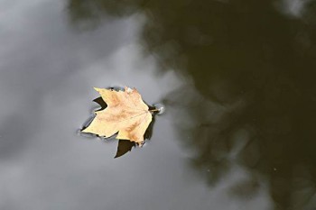 高空作業(yè)保險(xiǎn)怎么買
