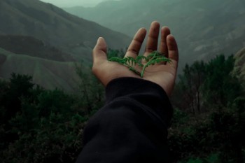 商業(yè)保險(xiǎn)包括哪些